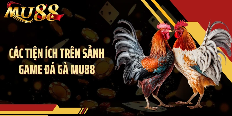 Các tiện ích trên sảnh game đá gà MU88