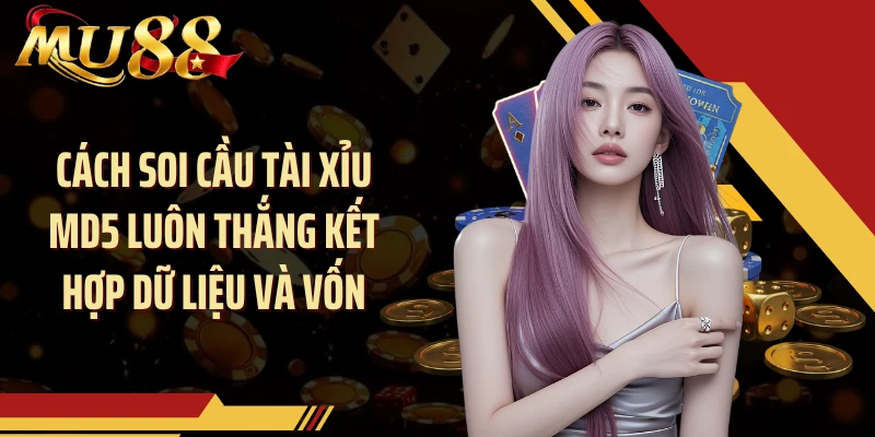 Cách soi cầu tài xỉu MD5 luôn thắng kết hợp dữ liệu và vốn