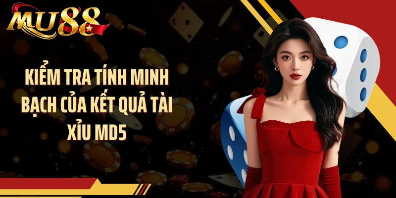 Kiểm tra tính minh bạch của kết quả tài Xỉu MD5