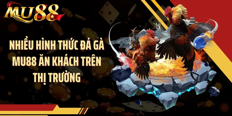 Nhiều hình thức đá gà MU88 ăn khách trên thị trường