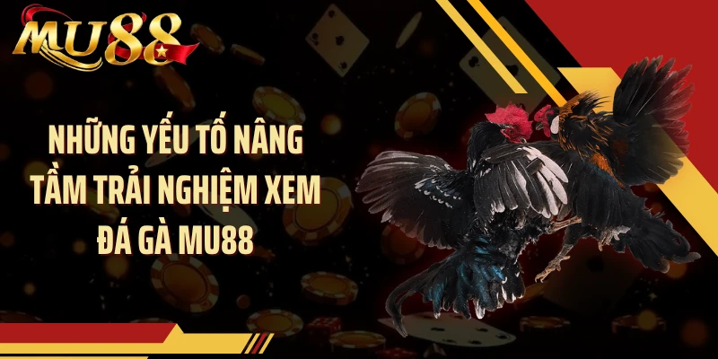 Những yếu tố nâng tầm trải nghiệm xem đá gà MU88